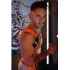 Breedwell Harnais Circuit Breaker Orange